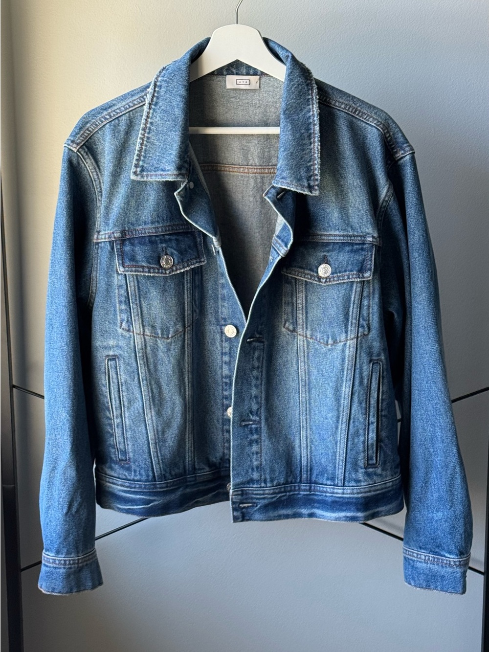 AYR The Ride or Fly Denim Jacket